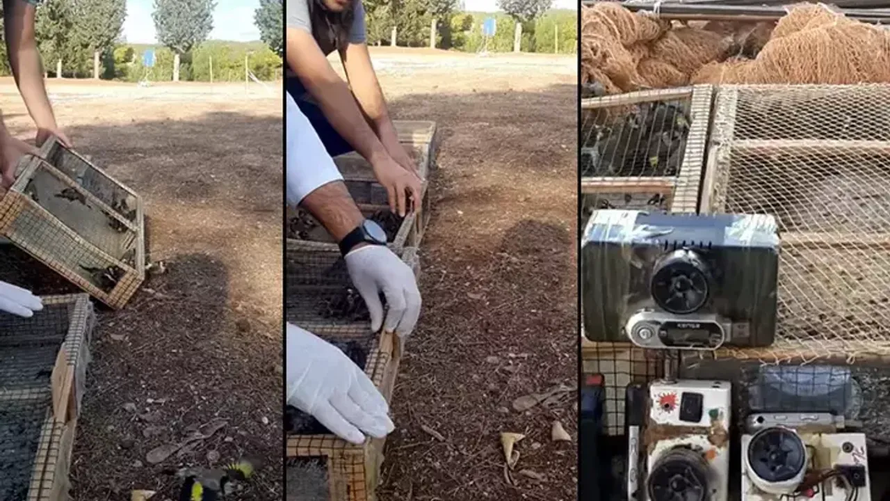 Kahramanmaraş'ta kaçırılmak istenen 80 saka kuşu doğaya bırakıldı