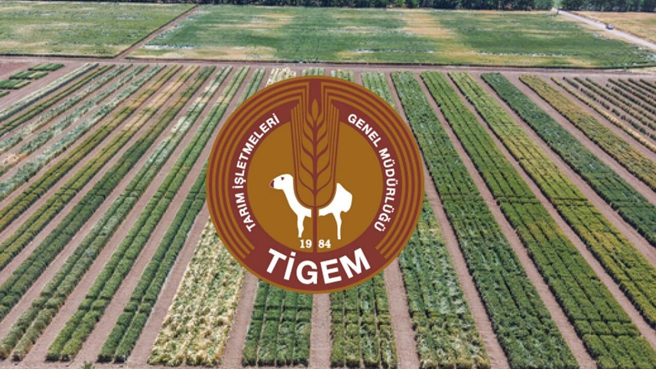 Tarım İşletmeleri Genel Müdürlüğü 2026 kura çekimi sonuçları ve kazananlar listesi
