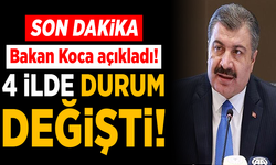 Bakan Koca 4 il açıkladı! Mavi kategoriye geçtiler