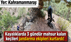Kahramanmaraş'ta kayalıklarda gündür mahsur kalan keçileri jandarma ekipleri kurtardı!