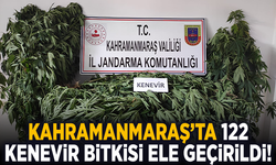 Kahramanmaraş’ta 122 kenevir bitkisi ele geçirildi!