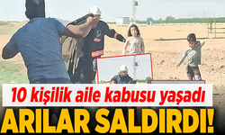 Şanlıurfa'da arılar saldırdı! 10 kişilik aile kabusu yaşadı