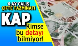 6 Ay çalış çifte tazminatı kap! Kimse bu detayı bilmiyor!