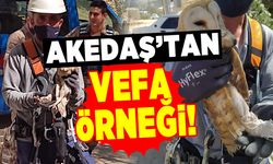 Akedaş'tan vefa örneği!