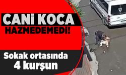 Cani koca hazmedemedi! Sokar ortasında 4 kurşun!