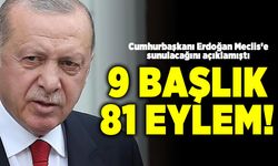 Cumhurbaşkanı Erdoğan Meclise sunulacağını açıklamıştı! 9 Başlık 81 Eylem