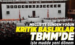 Mecliste gündem yoğun! Kritik başlıklar TBMM'de işte madde madde yeni dönem!