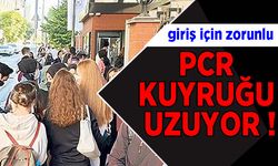 Üniversitelerde PCR kuyruğu uzuyor