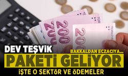 Dev teşvik paketi geliyor! Bakkaldan eczacıya... İşte o sektör ve ödemeleri!