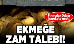 Ekmeğe zam talebi! Fırıncılar Odası harekete geçti!