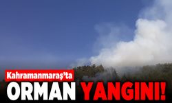 Kahramanmaraş'ta orman yangını!