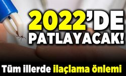 2022'de patlayacak! Tüm illerde ilaçlama önlemi!