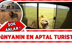 Alay konusu oldular... 'Dünyanın en aptal turisti'