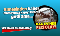 Kahramanmaraş'ta feci olay!