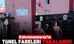Kahramanmaraş'ta tünel fareleri yakalandı!