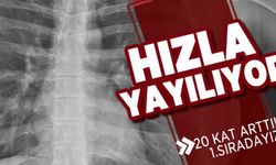 Kovid korkusu tomografiyi 20 kat artırdı