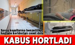 Savaş koşullarına benzettiler! Kabus Romanya'da hortladı