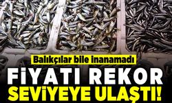 Balıkçılar bile inanamadı! Fiyatı rekor seviyeye ulaştı!