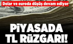 Dolar ve Euroda düşüş devam ediyor! Piyasada TL rüzgarı!
