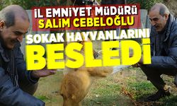 İl Emniyet Müdürü Salim Cebeloğlu sokak hayvanları besledi!