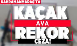 Kahramanmaraş'ta kaçak ava rekor ceza!