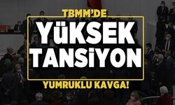 Mecliste yumruklu kavga