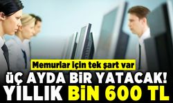 Memurlar için tek şart var! Üç ayda bir yatacak yıllık bin 600 TL!