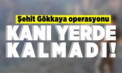 Şehit Gökkaya operasyonu! Kanı yerde kalmadı!