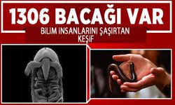 Tam bin 306 bacağı var