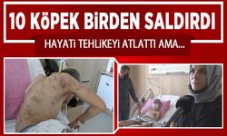 10 köpeğin saldırısına uğrayan 12 yaşındaki Enes 9 operasyon geçirdi!