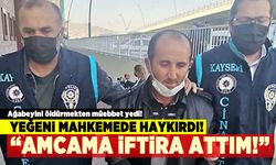 Ağabeyini öldürmekten müebbet yedi! Yeğeni mahkemede haykırdı! "Amcama iftira attım"