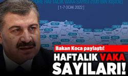 Bakan Koca paylaştı! Haftalık vaka sayıları!