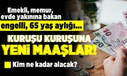 Emekli, memur; evde yakınına bakan, engelli, 65 yaş aylığı... Kuruşu kuruşuna yeni maaşlar!