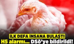 İlk defa insana bulaştı! H5 alarmı... DSÖ'ye bildirildi!