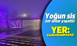 Kahramanmaraş'ta yoğun sis