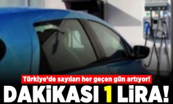 Türkiye'de her geçen gün sayıları artıyor! Dakikası 1 lira!
