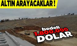 Türkiye'nin dev altın keşfinde kritik gelişme