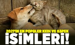 2021'in en popüler kedi ve köpek isimleri!