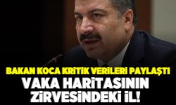 Bakan Koca kritik verileri paylaştı! Vaka haritasının zirvesindeki il!