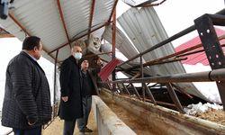 BAŞKAN OKAY’DAN BESİCİLİK YAPAN VATANDAŞLARA ZİYARET