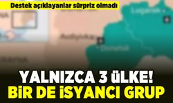 Destek açıklayanlar sürpriz olmadı! Yalnızca 3 ülke! Bir de isyancı grup