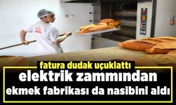 Elektrik zammından Halk Ekmek de nasibini aldı!