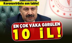 Koronavirüs son tablo! En çok vaka görülen 10 il!