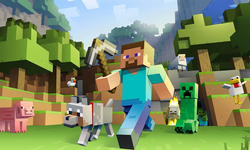 Minecraft Sunucu Hakkında