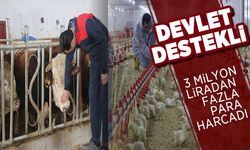 Şehir hayatından sıkıldı, devletten aldığı destek ile köye dönüp çiftlik kurdu
