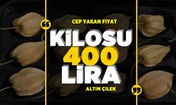 Yararı saymakla bitmeyen altın çilek cep yakıyor! Kilosu 400 TL