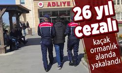 26 yıl hapis cezasıyla aranıyordu orman yolunda enselendi