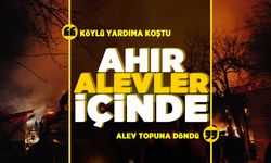 Ahır alev topuna döndü: Büyükbaş hayvanların yardımına köylüler koştu