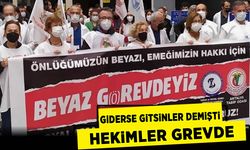 Hekimler bütün ülkede 3 günlük g(ö)revde