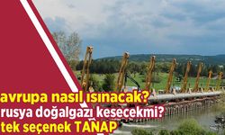 Rusya, doğal gazı keserse Avrupa nasıl ısınacak?